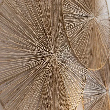 Mouettes Des Sables *